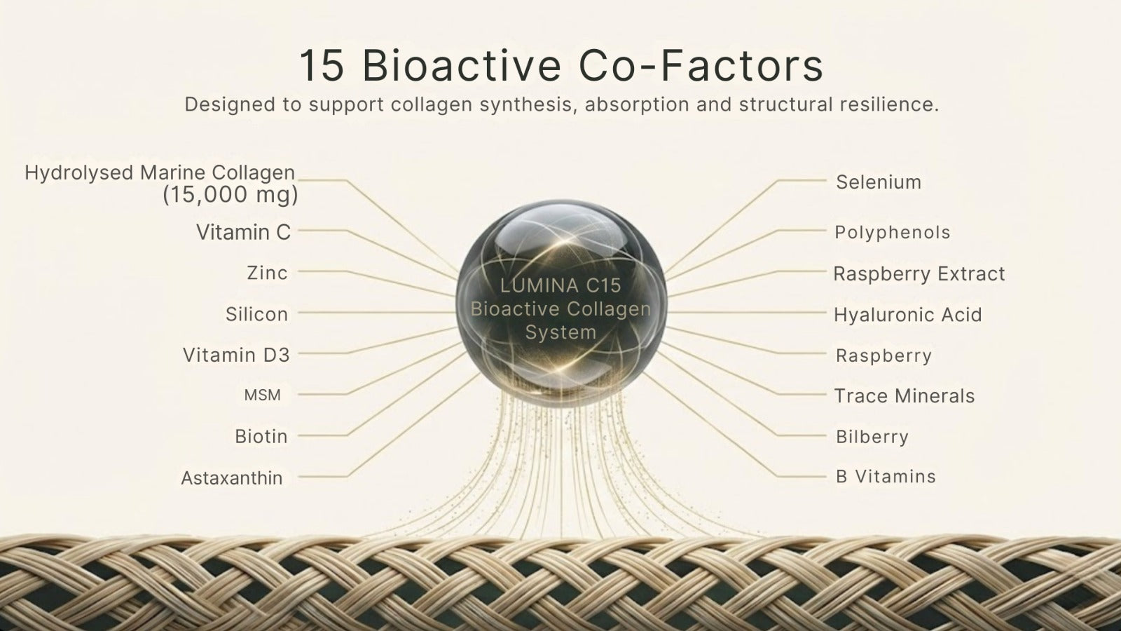 Lumina C15 Features